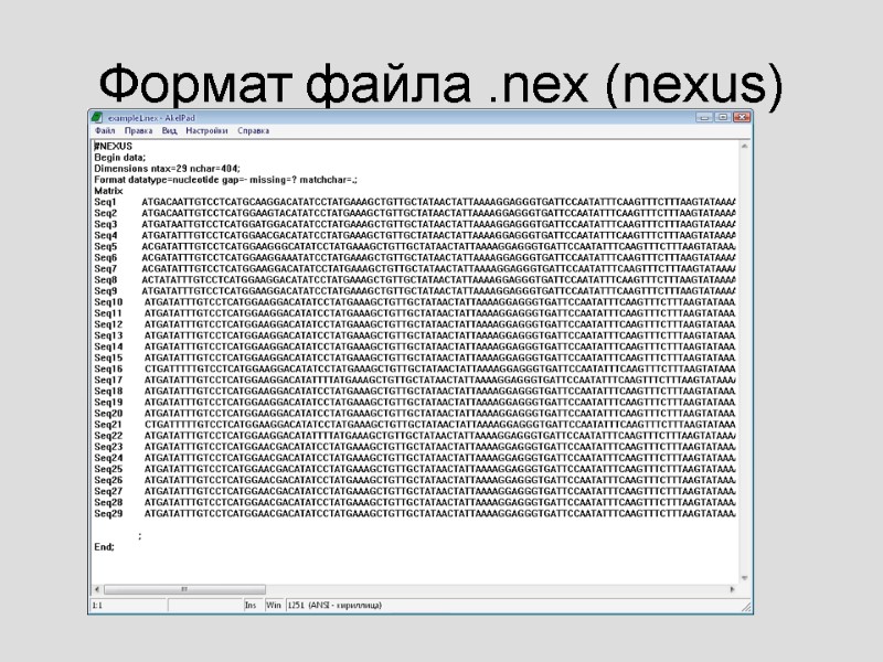 Формат файла .nex (nexus)